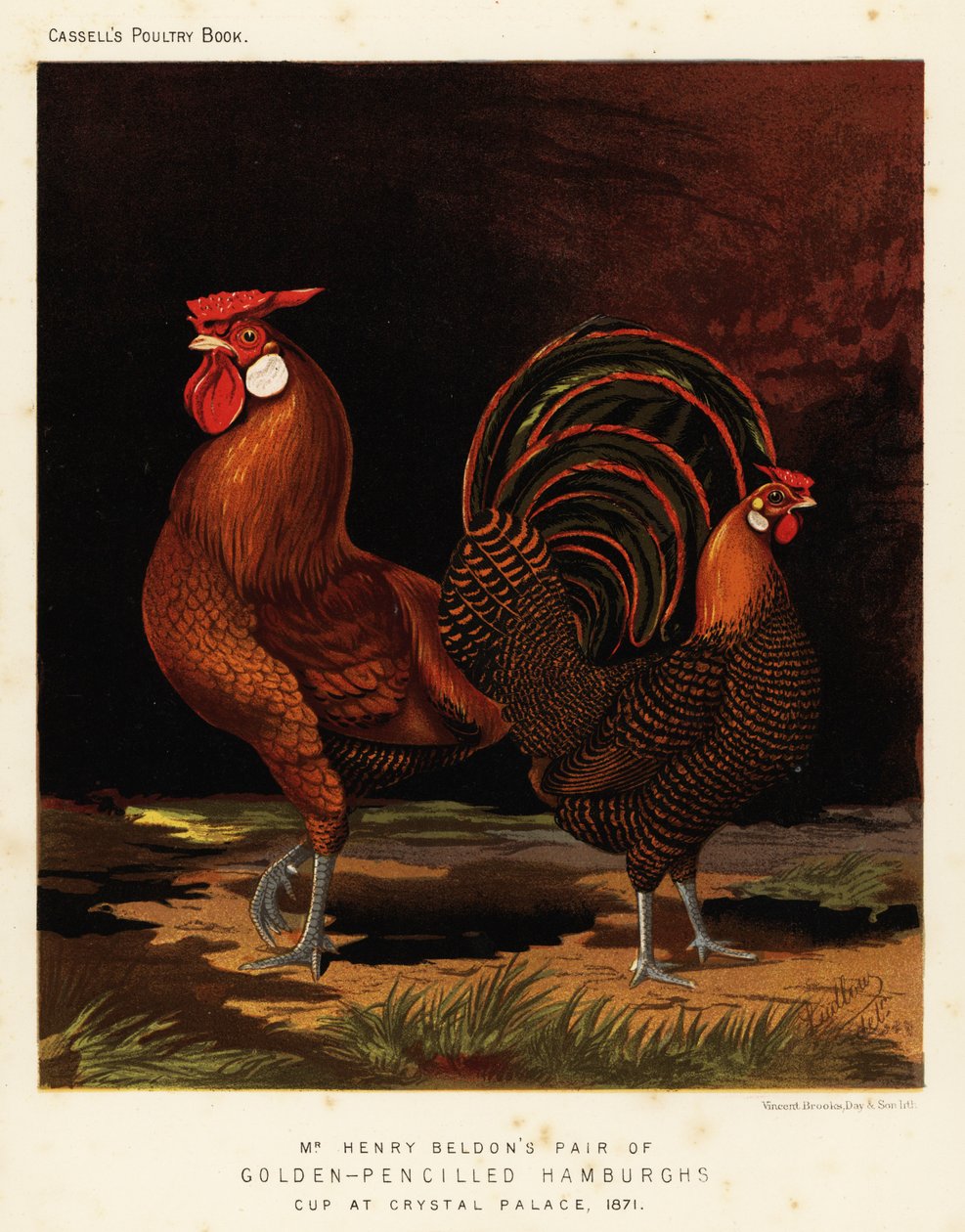 Altın kalemli Hamburglar by J. W. (after) Ludlow