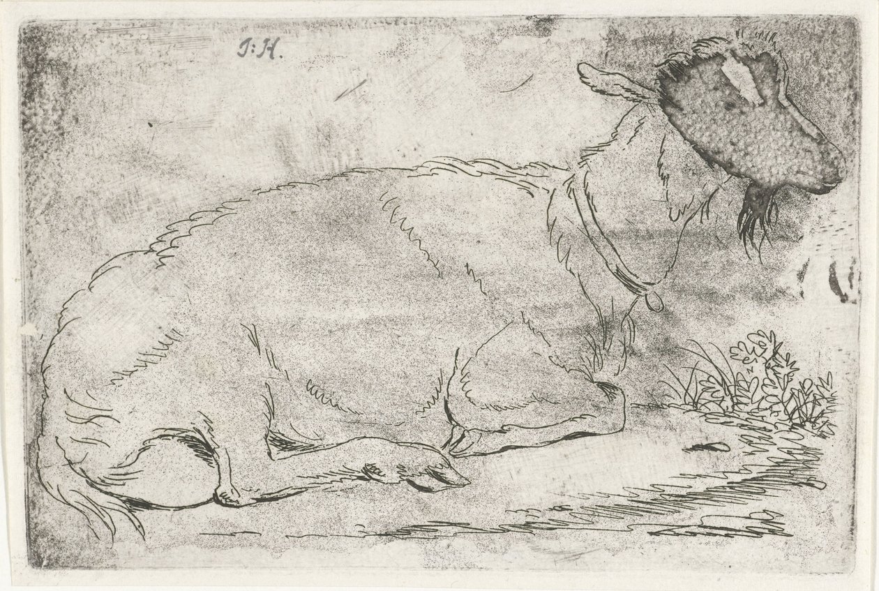 yalancı keçi by Jabes Heenck (signed by artist)