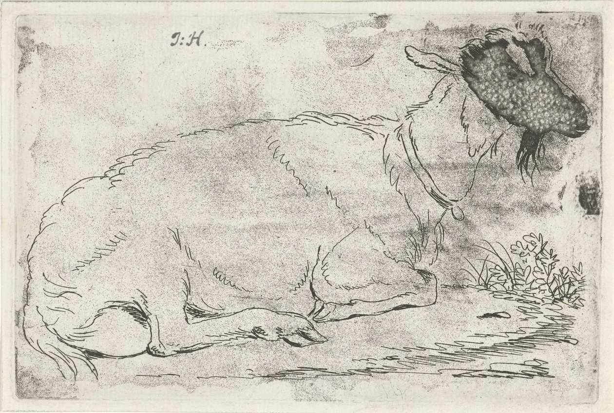 yalancı keçi by Jabes Heenck (signed by artist)