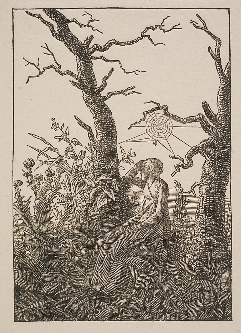 Melankoli. Örümcek Ağı olan Kadın by Jacob Friedrich