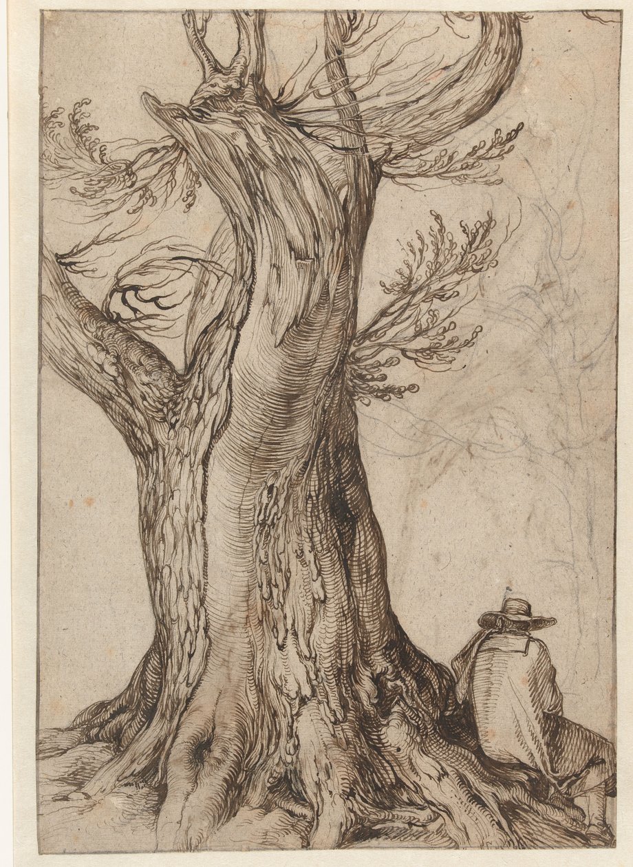 Bir ağaç gövdesinin incelenmesi by Jacob II de Gheyn