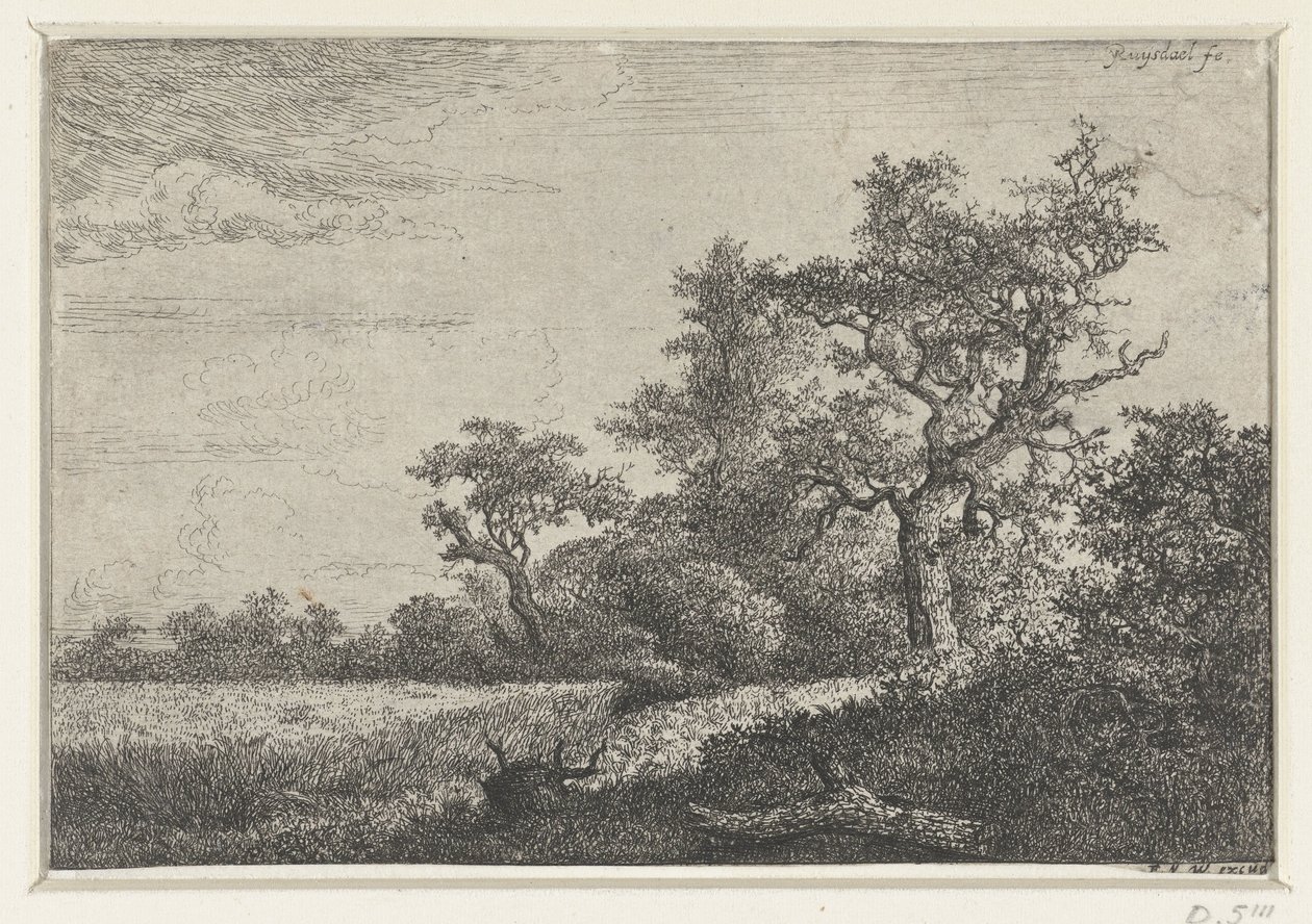 mısır tarlası by Jacob van Ruisdael