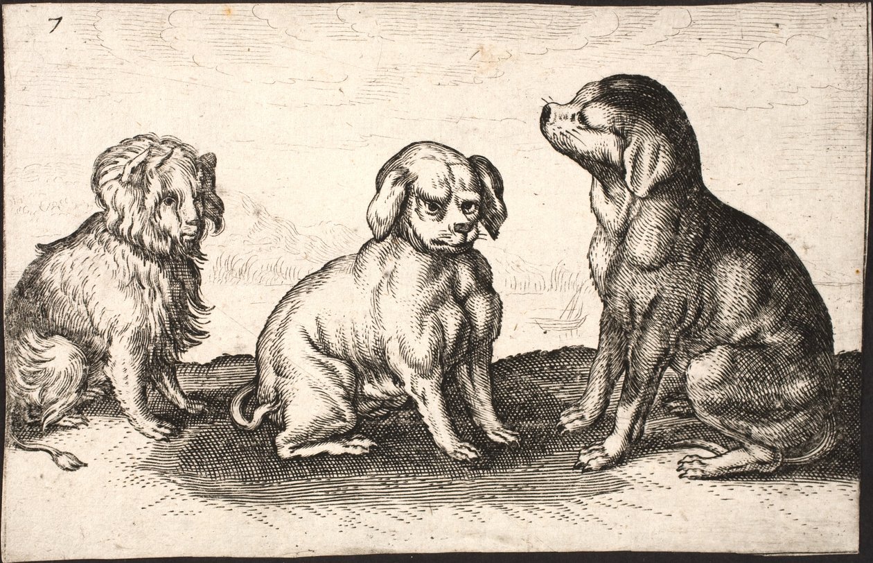 üç küçük köpek by Jacob Matham