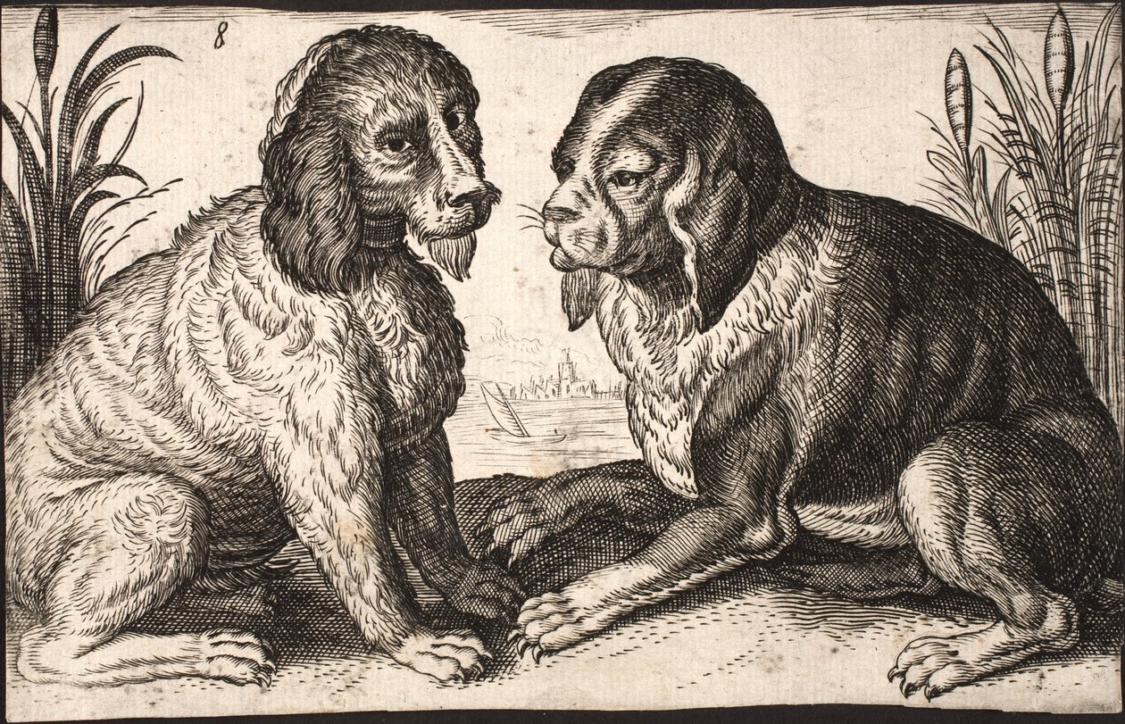 Bir göl kenarında iki köpek by Jacob Matham