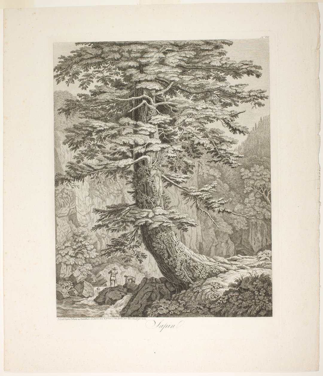Köknar ağacı by Jacob Philipp Hackert