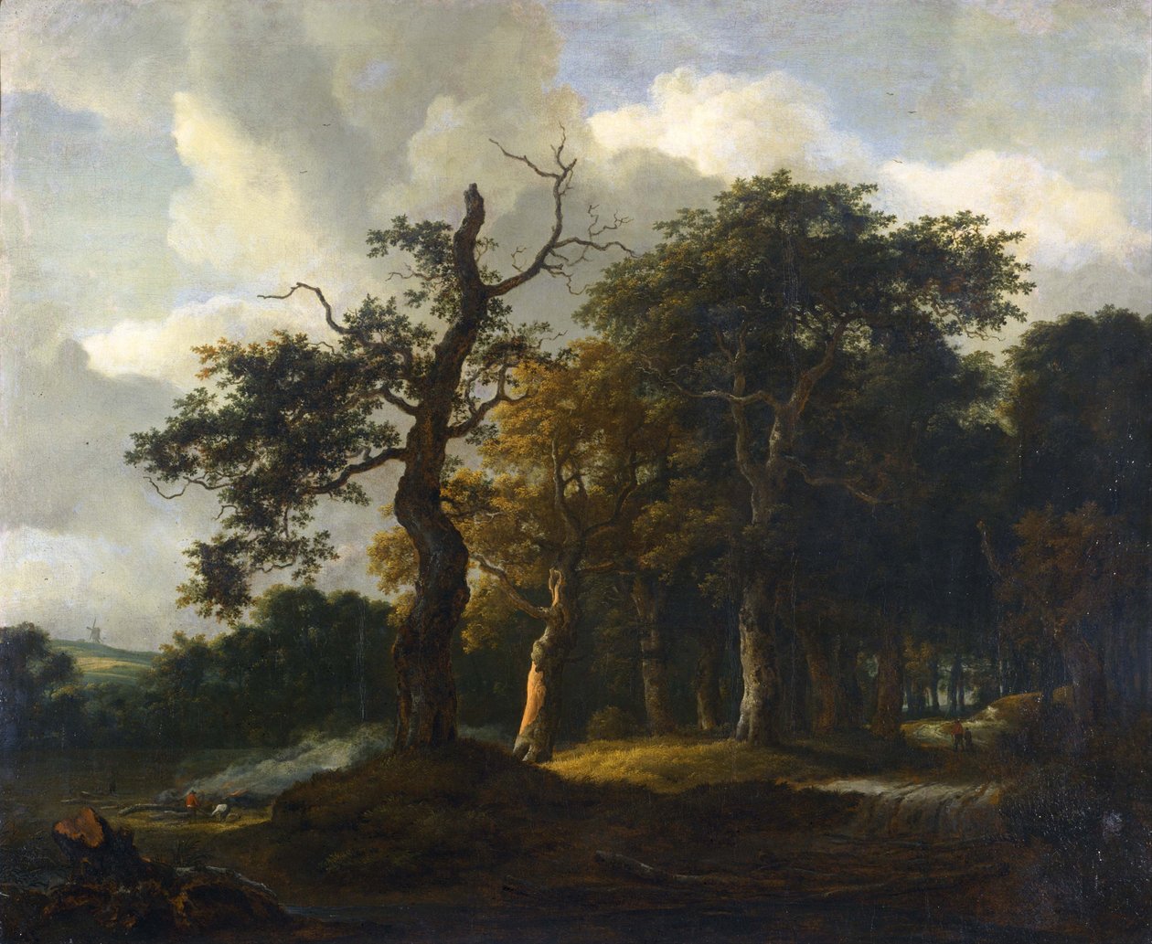 Meşe Ağacından Geçen Bir Yol by Jacob van Ruisdael