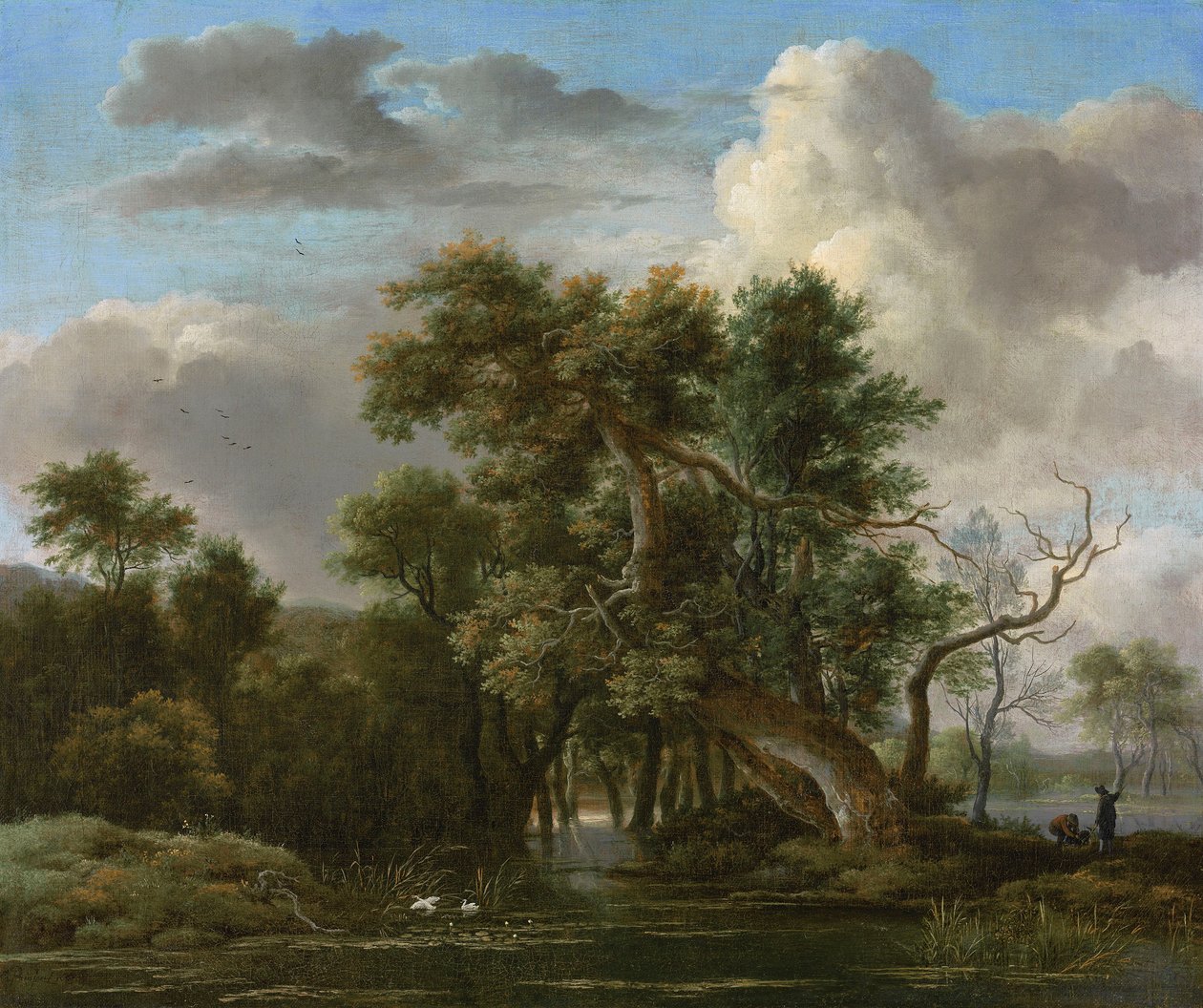  by Jacob van Ruisdael