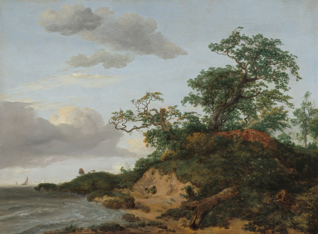 Deniz Kenarındaki Kum Tepeleri, 1648. by Jacob van Ruisdael