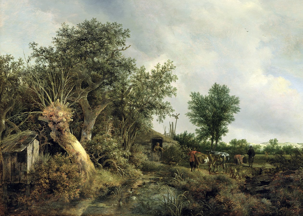Kulübe ile Manzara, 1646 by Jacob van Ruisdael