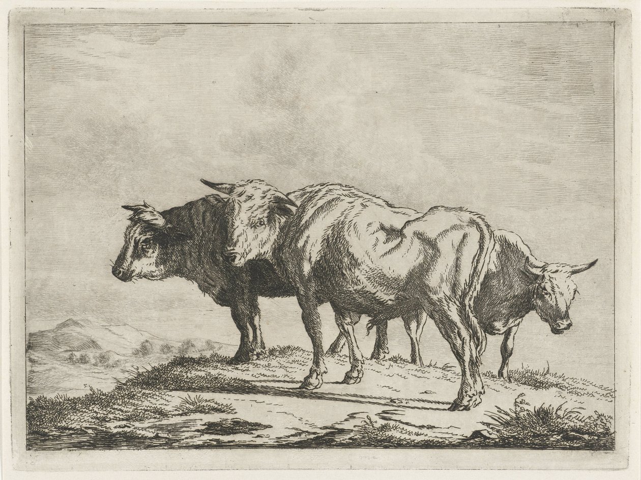 üç öküz by Jacobus Cornelis Gaal