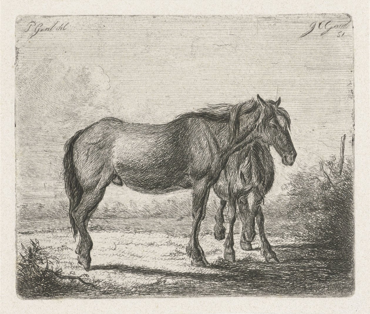 İki at by Jacobus Cornelis Gaal