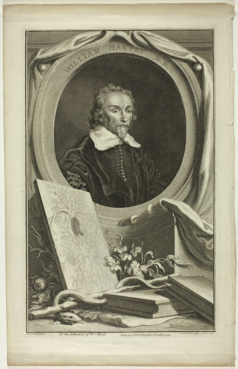 William Harvey, M.D. by Jacobus Houbraken