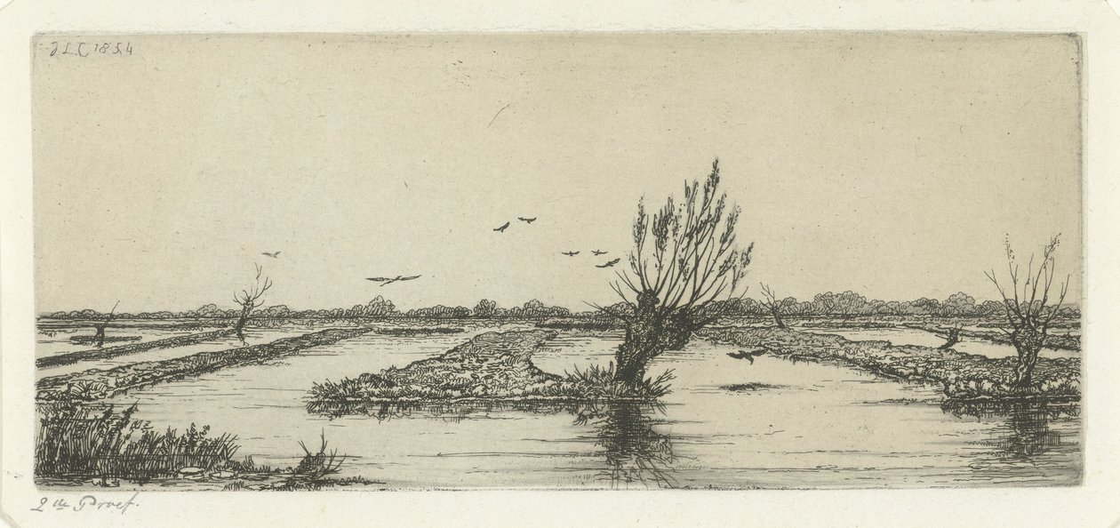 Veenplas by Jacobus Ludovicus Cornet