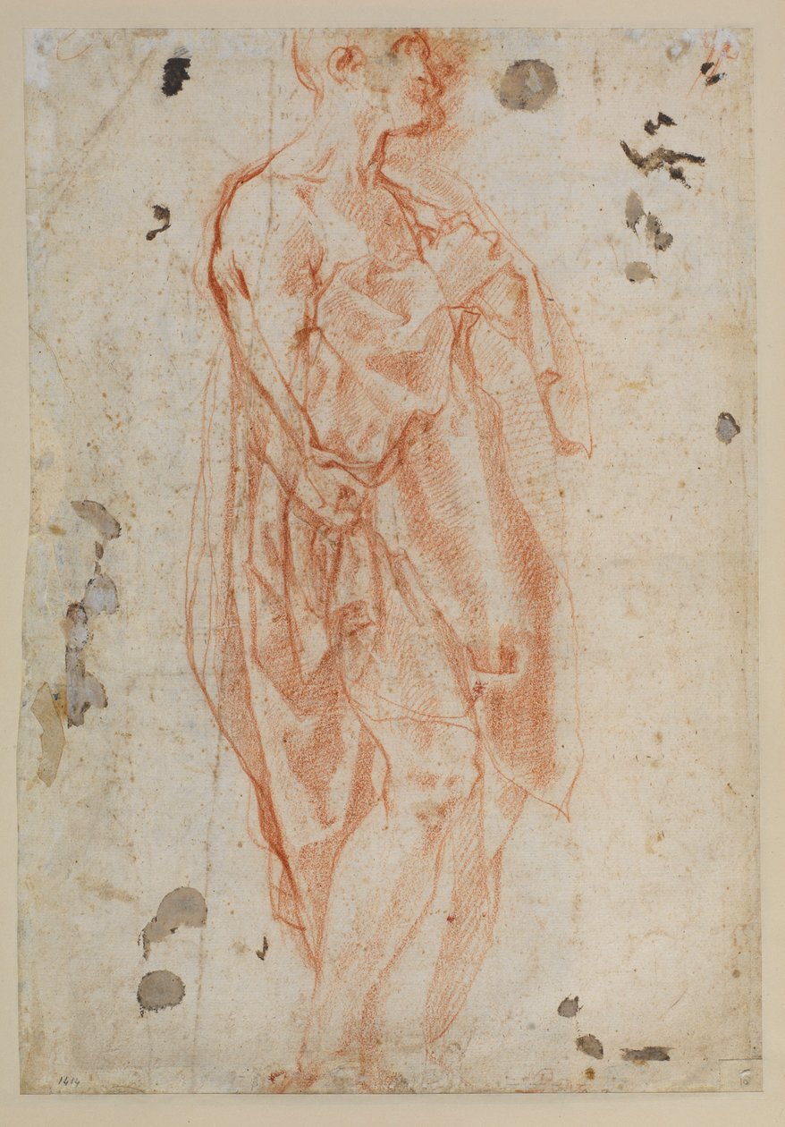 Aziz Jerome için çalışma by Jacopo Pontormo