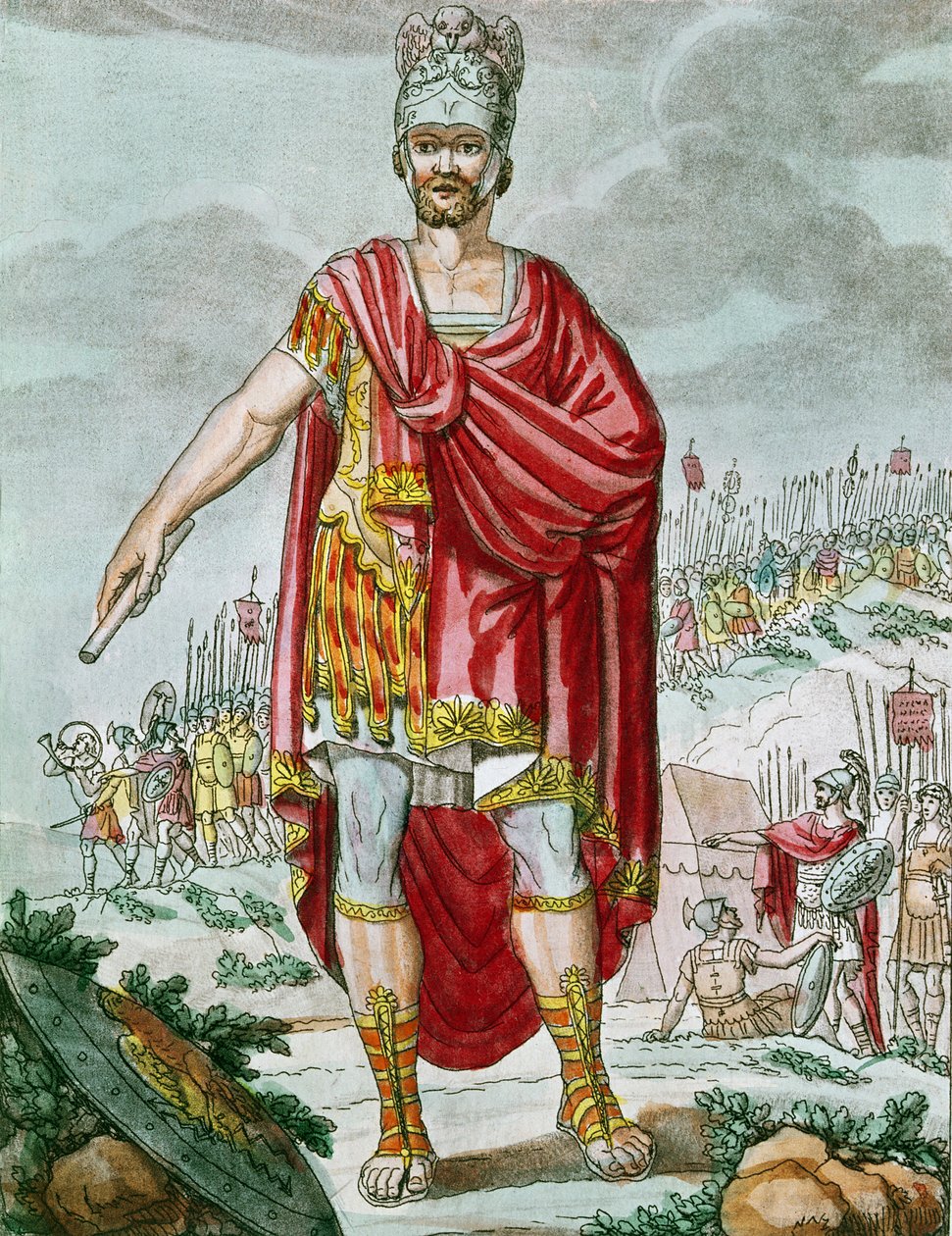 ಒಂದು ಸೆಂಚುರಿಯನ್ ಟರ್ಕಿ by Jacques Grasset de Saint Sauveur