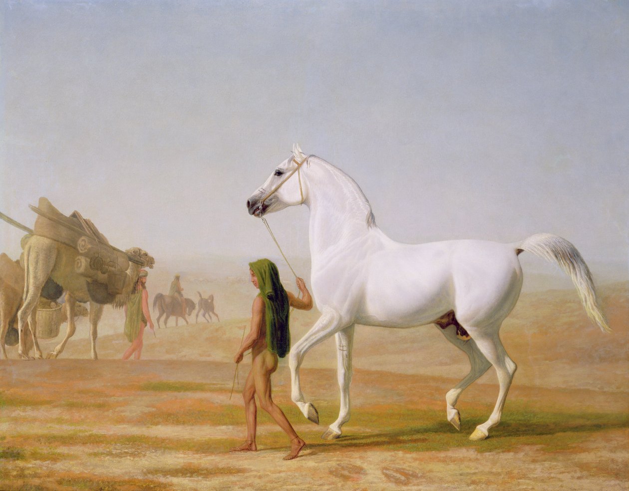 Wellesley Gray Arabian Çölü geçti, c.1810 by Jacques Laurent Agasse