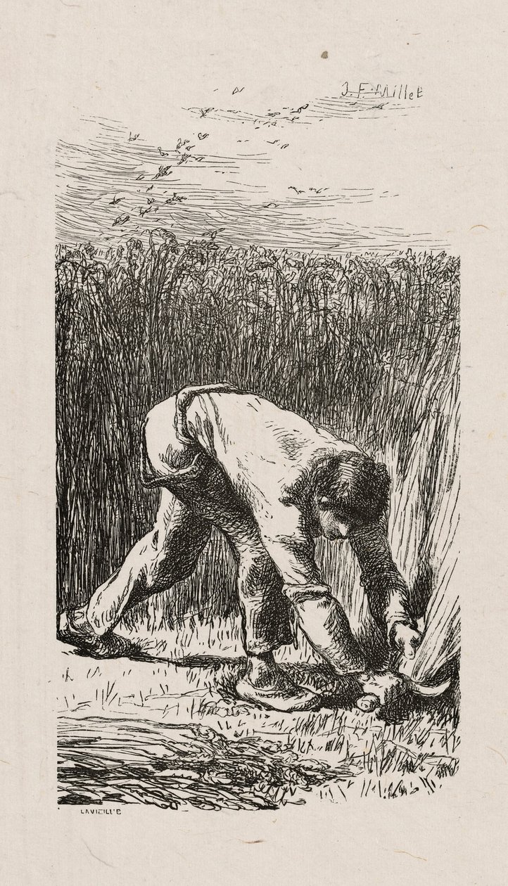 orakçı by Jacques Adrien Lavieille