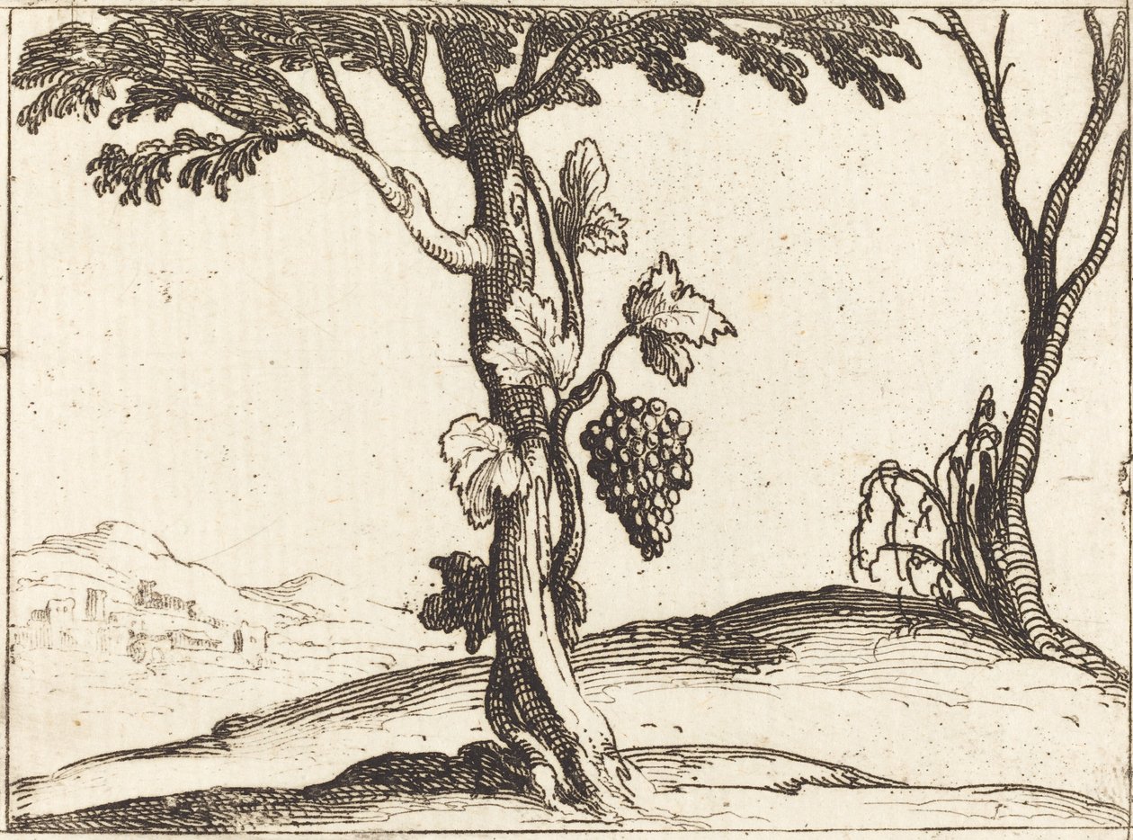 Bir salkım üzüm by Jacques Callot