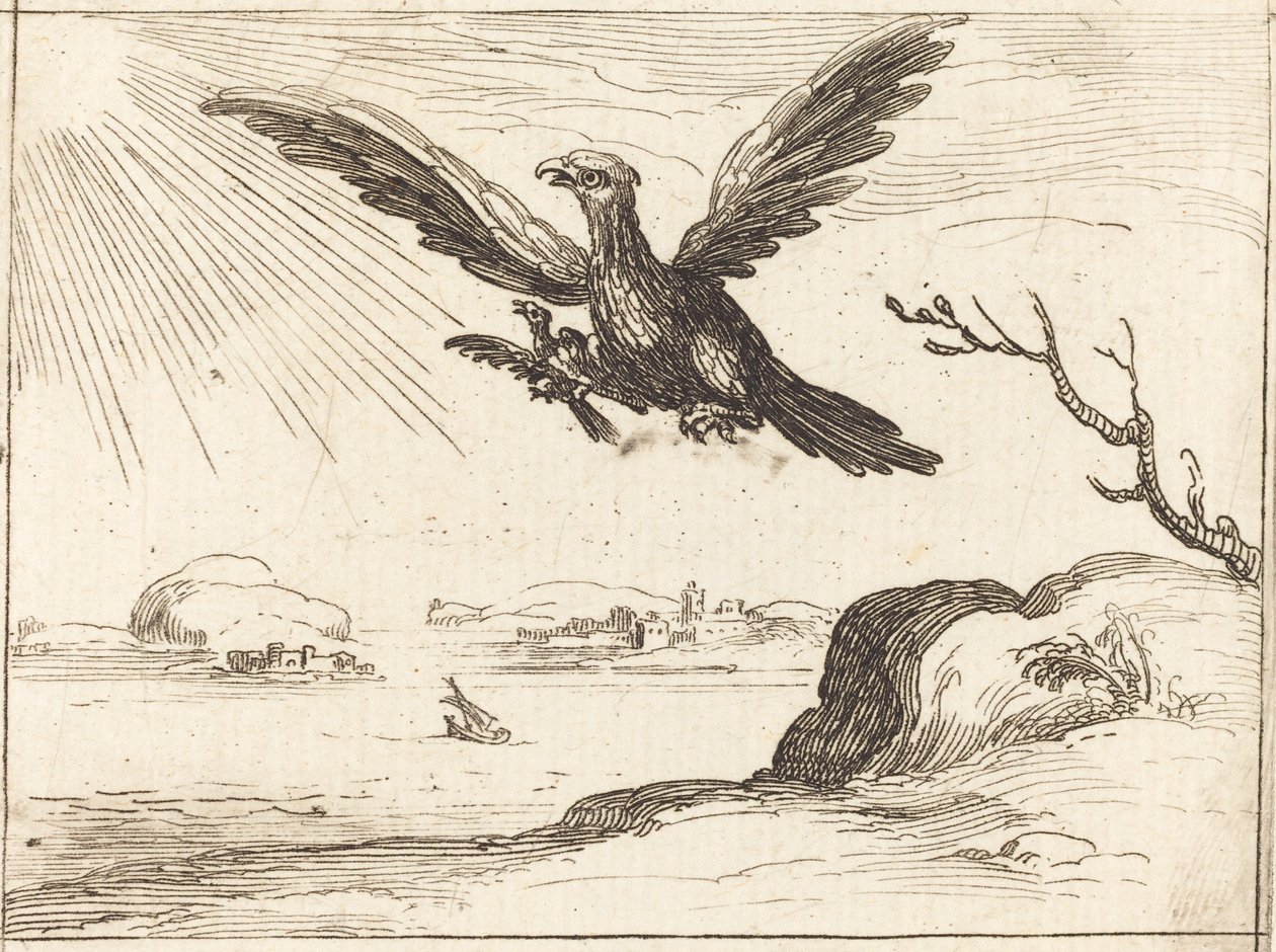kartal ve genç by Jacques Callot