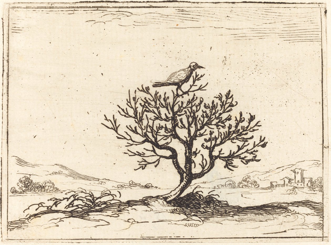 Bir çalıda bülbül by Jacques Callot