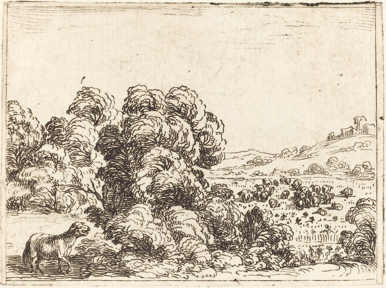 Kuzu Çağıran Koyun by Jacques Callot