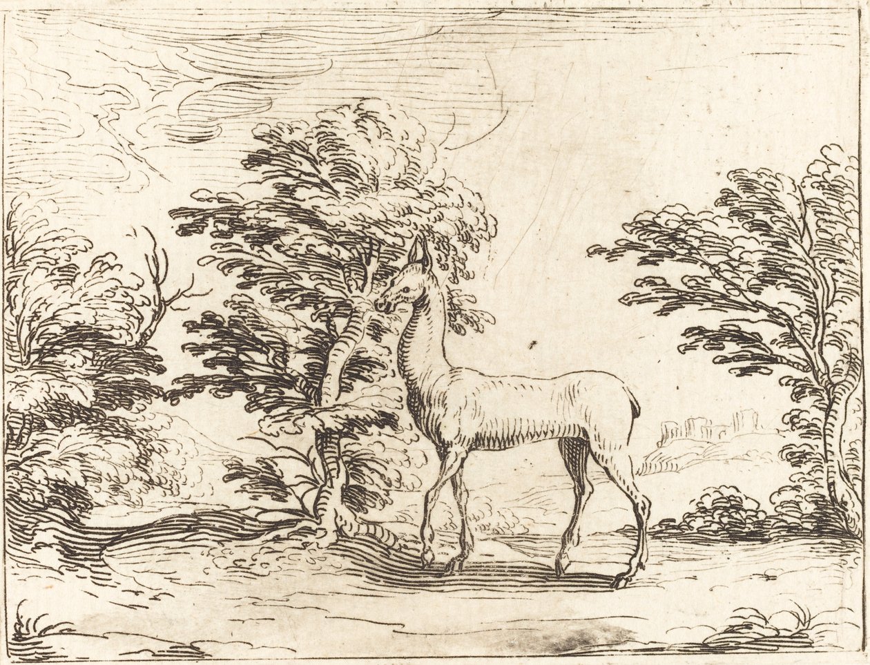 Doe. by Jacques Callot
