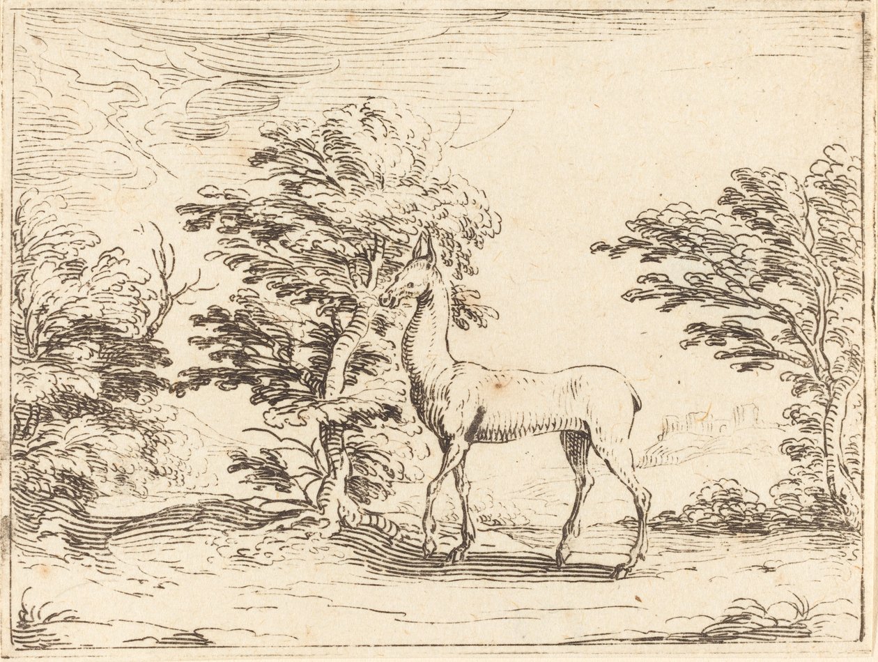 Doe. by Jacques Callot