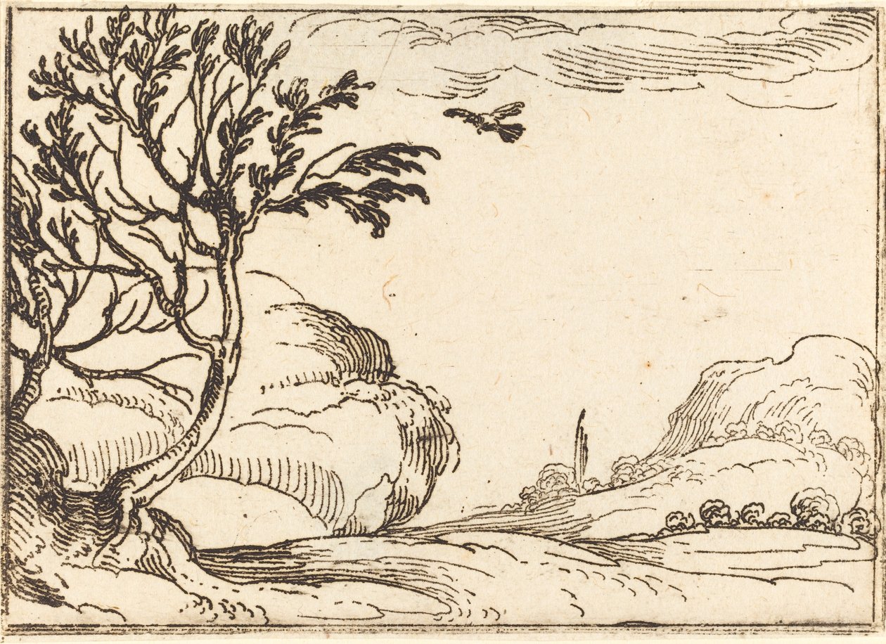 Çölde Uçan Kaplumbağa Güvercin by Jacques Callot