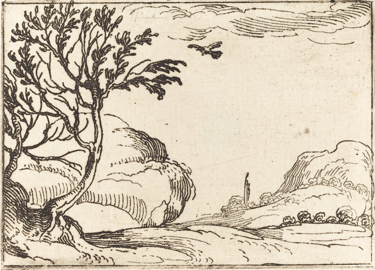 Çölde Uçan Kaplumbağa Güvercin by Jacques Callot