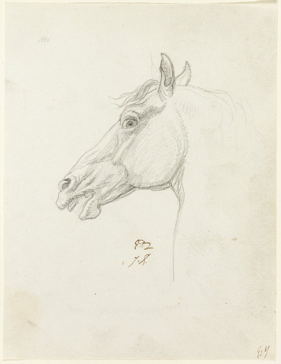  by Jacques Louis David