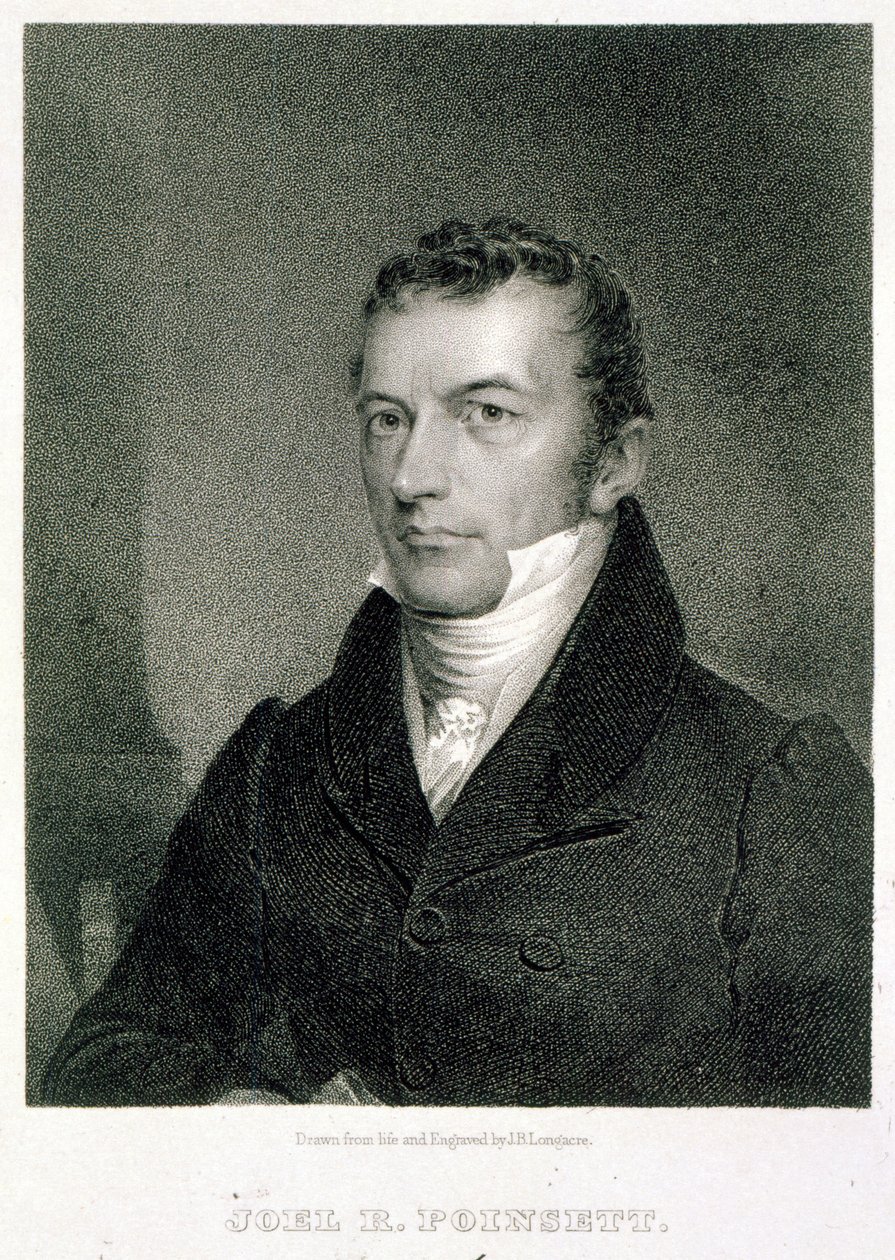 ಜೋಯಲ್ ರಾಬರ್ಟ್ಸ್ ಪೊಯಿನ್ಸೆಟ್ ಟರ್ಕ್ by James Barton Longacre