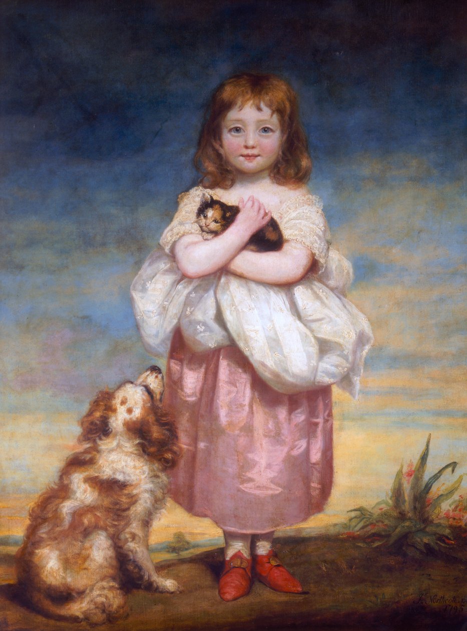 ಎ ಚೈಲ್ಡ್, 1795 ಟರ್ಕ್ by James Northcote
