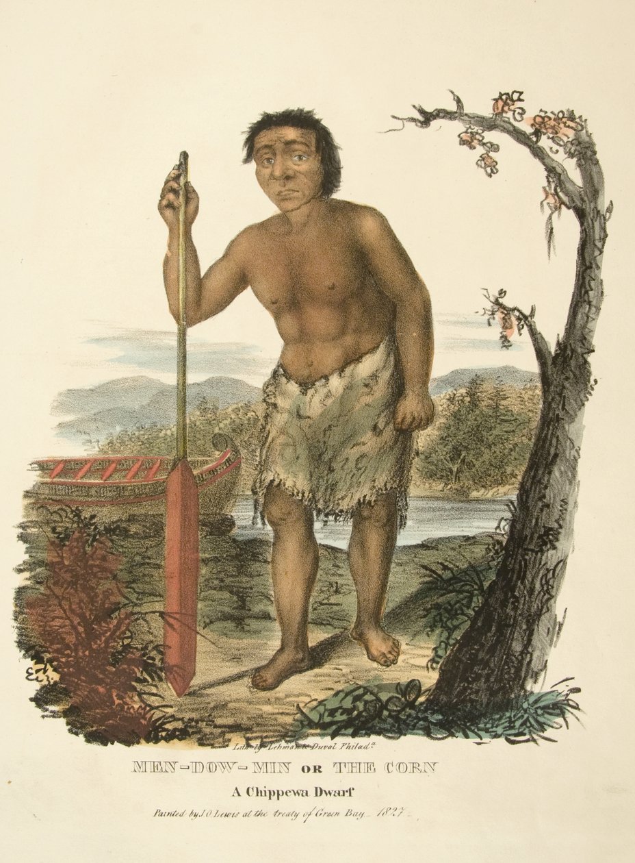 Men-dow-min veya Mısır by James Otto Lewis
