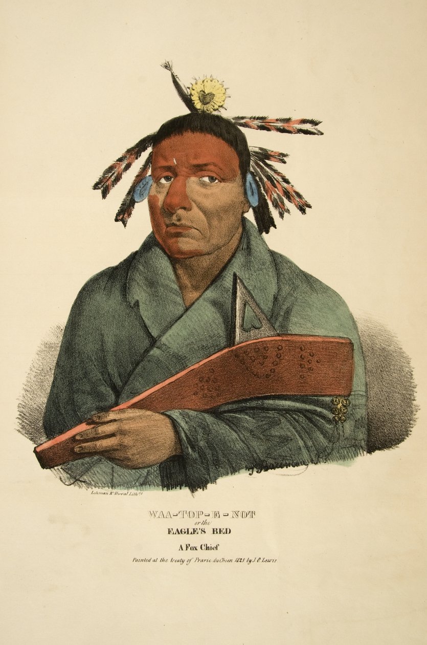 Waa-top-e-not veya Eagles Bed by James Otto Lewis