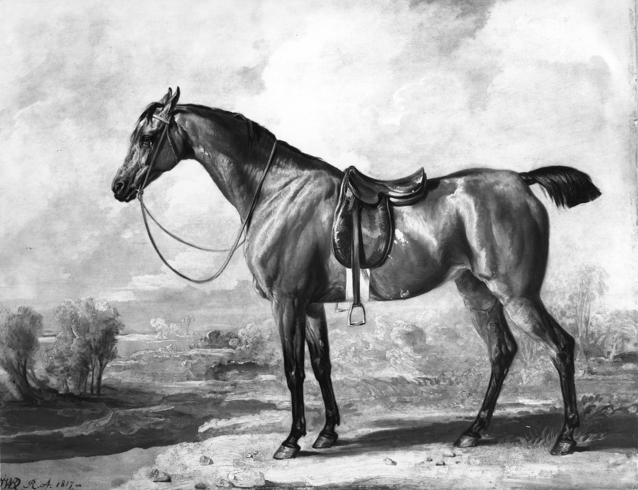 defne avcısı by James Ward