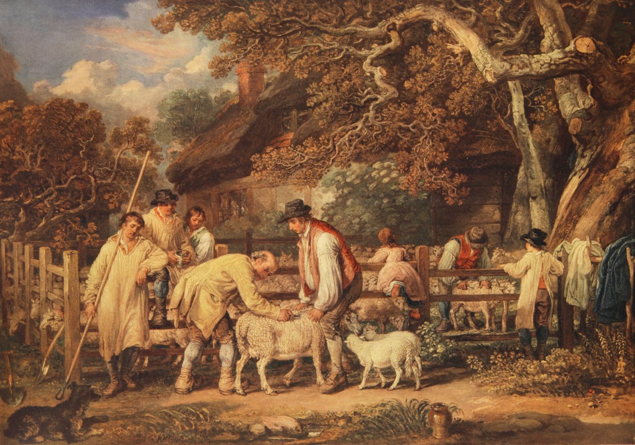 Koyun kırkma, c.1820 (renkli taş) by James (after) Ward