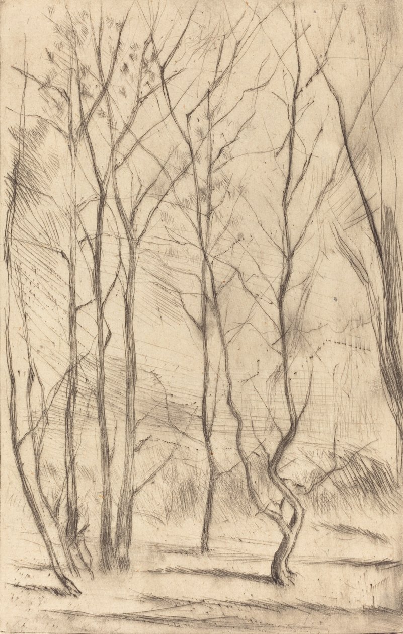Baraj Ağacı, 1875. by James Abbott McNeill Whistler