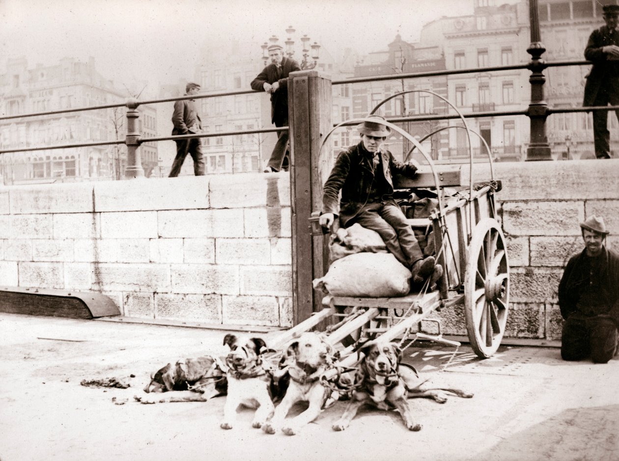 Köpek arabası olan adam, Anvers, 1898. by James Batkin