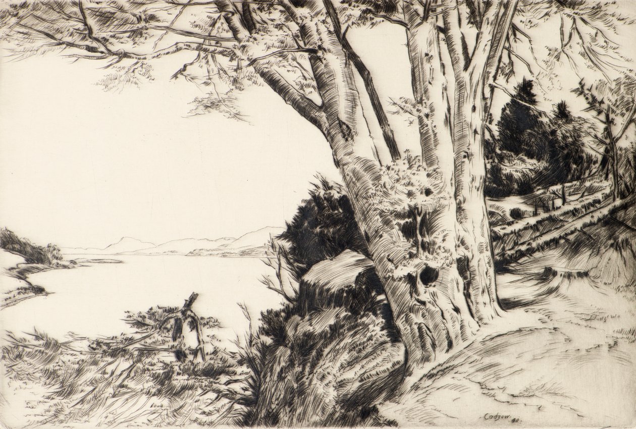Kayın Ağacı by James Cadzow