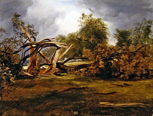 Blasted Oak (gemide yağ) by James Giles