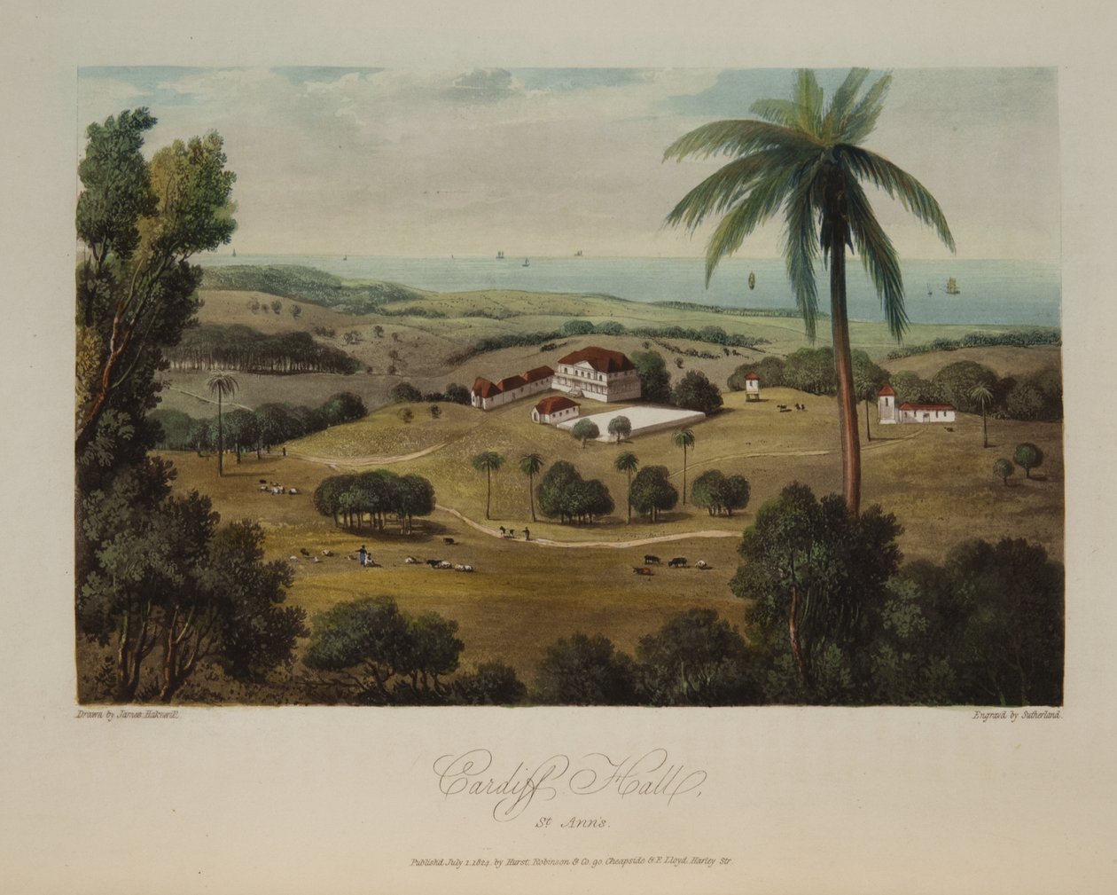 Cardiff Salonu, St.Anns by James Hakewill