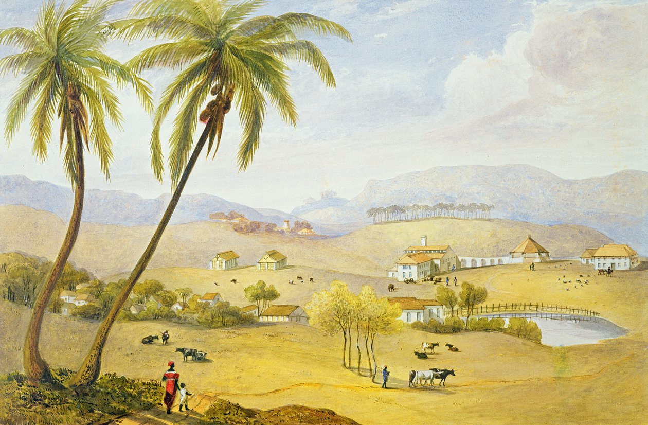 Haughton Court, Hannover, Jamaika, c.1820 by James Hakewill