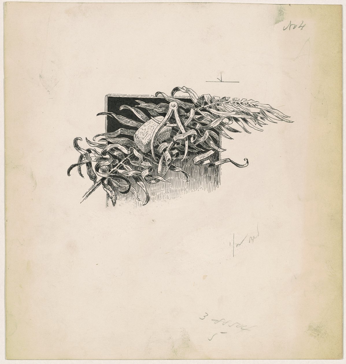 Çekiç ve Pusula by James Henry Moser