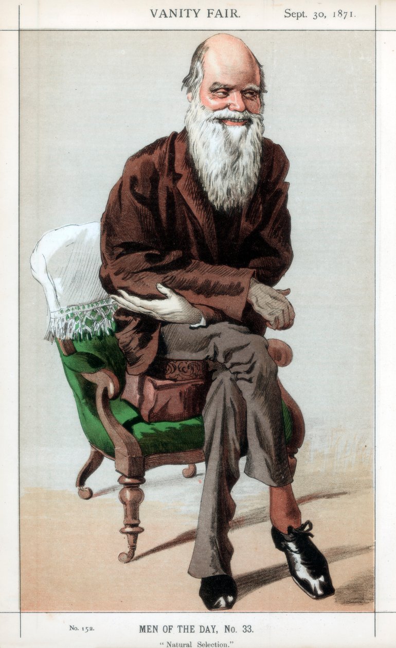 Doğal Seleksiyon, 1871. by James Jacques Joseph Tissot