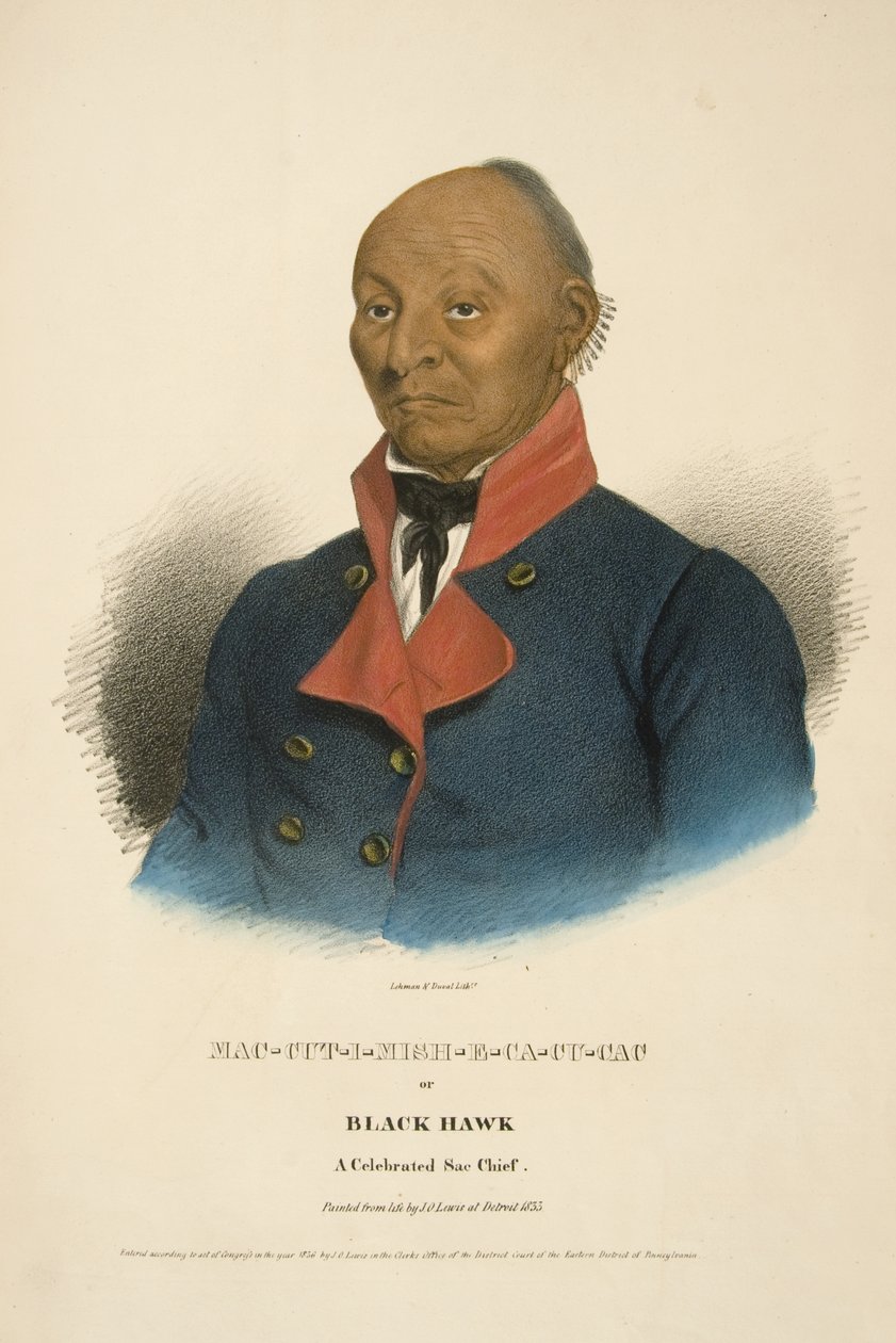 Mac-cut-i-mish-e-ca-cu-cac veya Kara Şahin by James Otto Lewis