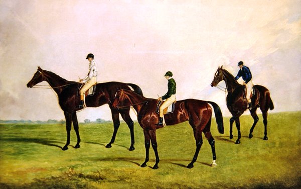 Yarış Atları Jockeys Up (tuval üzerine yağlı boya) by James Pollard