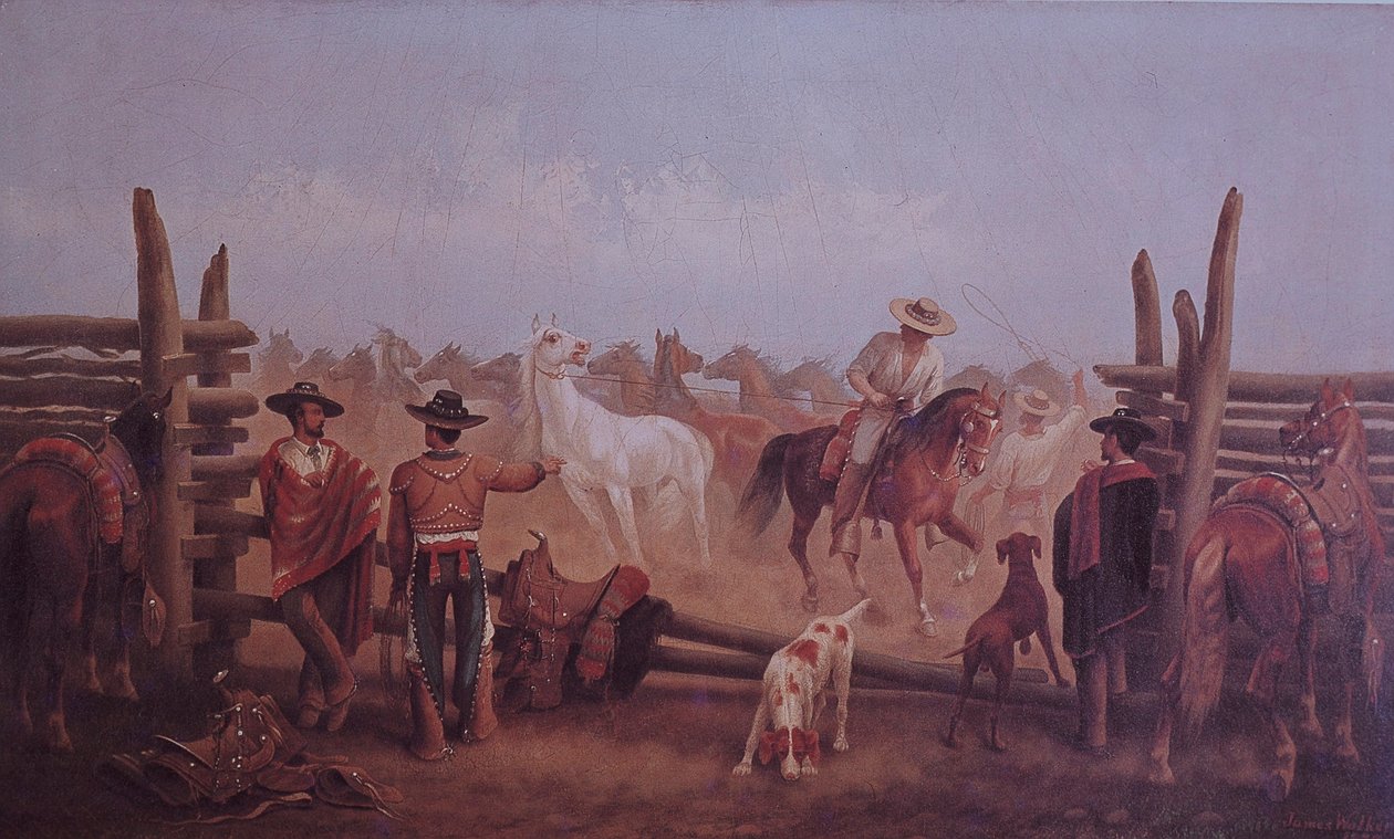 Tejano Çiftçileri by James Walker