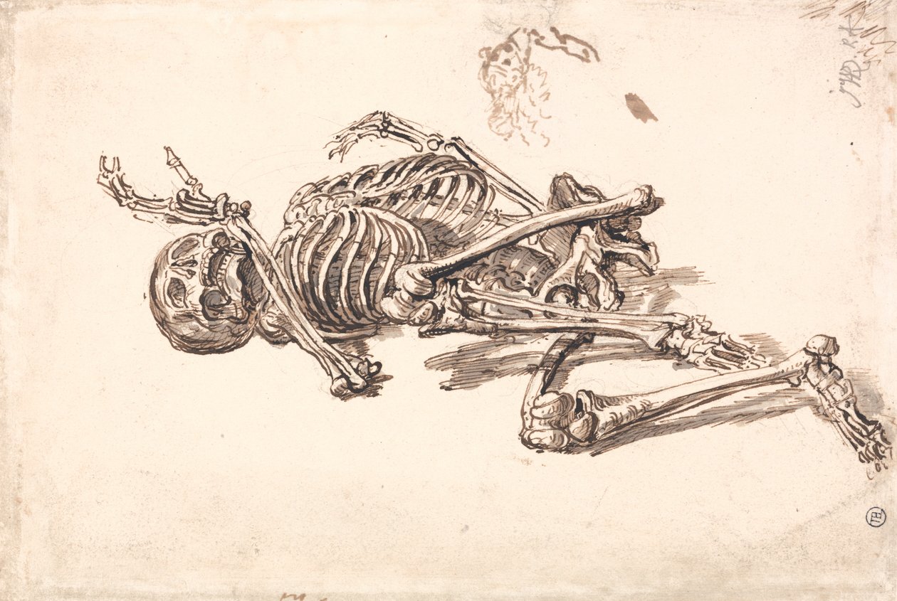 Bir İnsan İskeleti by James Ward