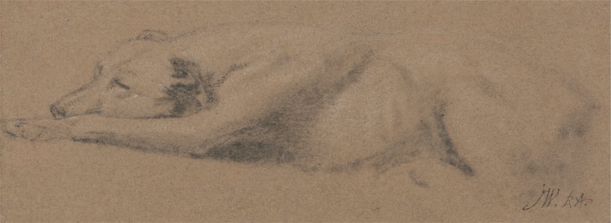 Uyuyan Köpek Çalışması by James Ward