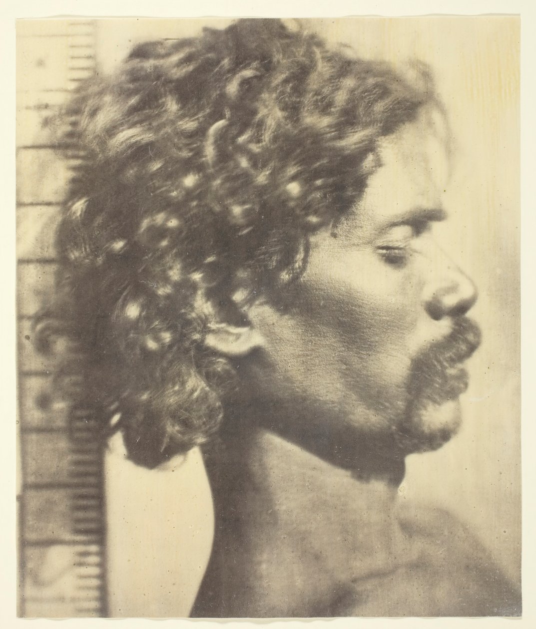 Kuruba Adam, 1873. by James Wilkinson Breeks